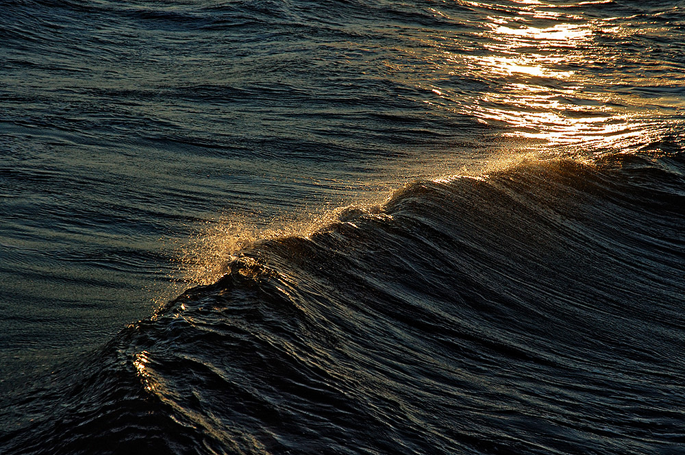 Die Welle