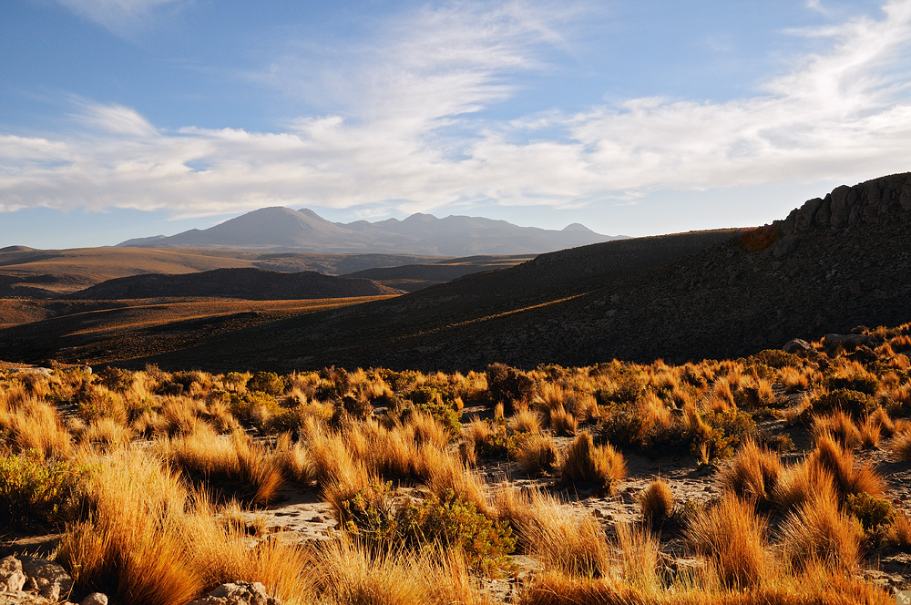 Irgendwo im Altiplano