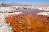 Ökologisch/-nomisches Dilemma  Das offene Wasser der Laguna Chaxa ist nicht nur Heimat und Lebensraum für alle Arten von Wasservögeln, es spiegelt in seinen Farben auch den mineralischen Reichtum des Salar de Atacama. Der mit 3000 km² drittgrößte Salzsee weltweit beherbergt in seinem Grund u.a. 40% der bekannten Lithium Reserven, neben anderen Rohstoffen ein ausreichender Grund, diese Schätze abzubauen. Damit einhergehend senkt sich der Wasserspiegel der Lagune jedoch suzessive ab – für das Überleben der dort zahlreich vorkommenden Flamingos keine gute Voraussetzung. Bleibt die Frage, ob sich Chile für Lithiumbatterien oder Naturschutz mit Touristen entscheidet...?   Der Blick Richtung Südosten zeigt im Hintergrund einen Teil der mit 6000ern gespickten Andenkette, die auch die Grenze nach Argentinien und – ein kleines Stückchen weiter nördlich – zu Bolivien bildet.