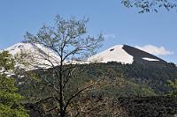 Yin & Yang  Dieser Hügel in harmonischem Gleichgewicht steht nicht in China, sondern als kleiner Nebengipfel des Llaima im Nationalpark Conguillío. Die unscheinbare Erhebung wäre eigentlich auch kein Foto wert gewesen (weswegen wir auch darauf verzichtet haben, den im Weg stehenden Baum zur Erzielung eines freien Blickfeldes zu verpflanzen ;-)), aber das prägnante Schnee- und Aschemuster war einfach zu schön, um es ungeknipst zu lassen.  Das mit Lavabrocken übersäte und erst von wenigen grünen Flecken betupfte Aschefeld des Llaima zeigt auch hier eindrücklich, wie weit die Ausdehnung der Lavafluten des hoch aktiven Llaima reicht.