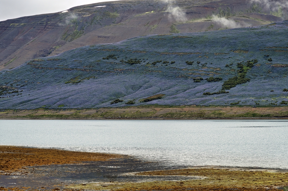 Am Fuß der blauen Berge