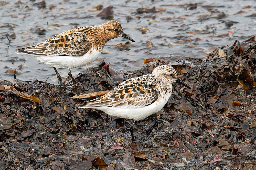 Beziehungsstatus ungeklärt