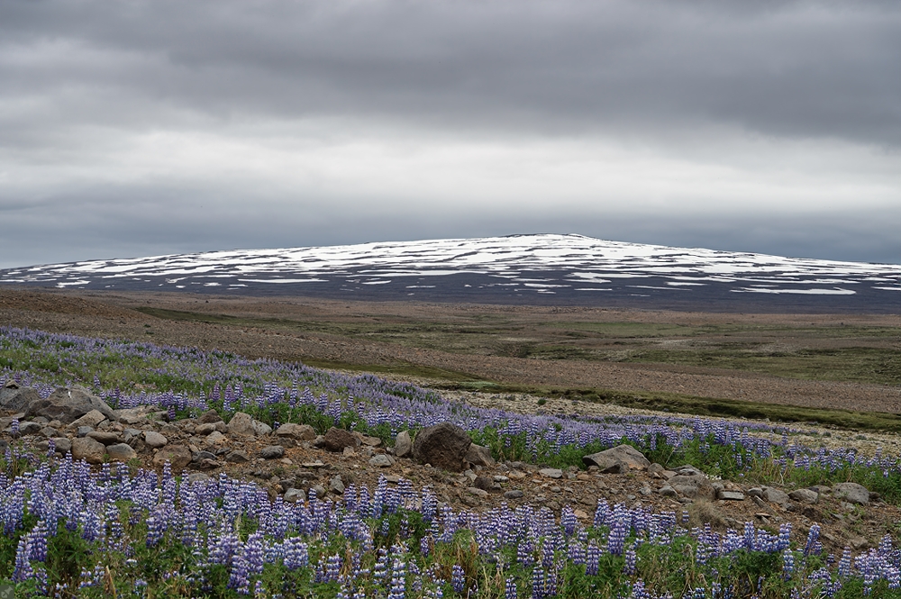 Das mußte nicht sein...