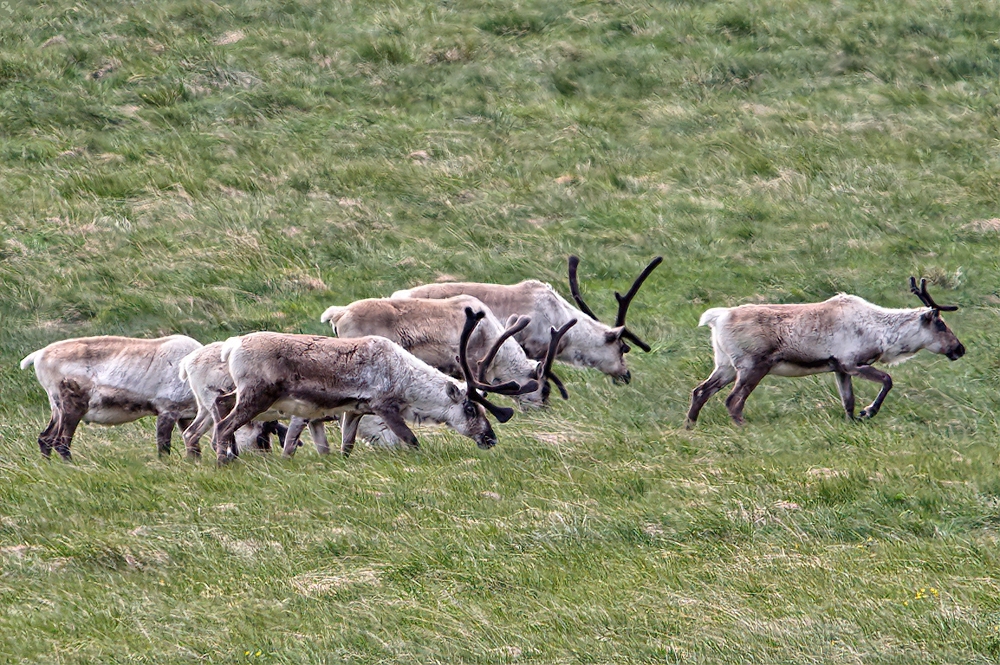 Gänzlich unerwartet