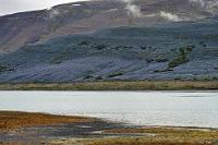 Am Fuß der blauen Berge  Wir könnten es uns natürlich leicht machen und auf der Straße 60 bleiben. Wir haben aber eine Menge Zeit, denn auch das Hotel in Patreksfjörður ist – wie alle Herbergen – erst ab 15:00 Uhr empfangsbereit. Vorbei am Önundarfjörður geht es jetzt weiter durch die tiefeingeschnittene Berglandschaft bis zum nächsten Fjord, dem Dýrafjördur. Wir überqueren einen langen Damm, der den landesinneren Teil des Fjords abtrennt und lediglich mit einer kurzen Brücke den Wasseraustausch mit dem Hauptfjord sicherstellt. Auf der Südseite leisten wir uns sogleich den ersten Abstecher, um uns den 240 Einwohner zählenden Ort Þingeyri anzusehen. Er hat sich mit einigen Attraktionen, wie einem Wikinger- und einem Musikmuseum auf die Touristenströme eingestellt, die von den hier anlegenden Kreuzfahrtschiffen per Bus zum nahegelegenen Dynjandi Wasserfall gekarrt werden. Für Museumsbesuche fehlt uns dann doch die Zeit, aber allein der Blick auf die riesigen Lupinenfelder, die die unteren Berghänge der Nordseite des Fjords blau leuchten lassen, sind den Abstecher wert.