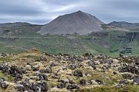 Búðahraun  Fast entlang der gesamten Küste ist der Bergkette ein breiter Streifen Flachland vorgelagert. Zum größten Teil grünes Weideland, aber an einigen Stellen von Lavabrocken übersätes Karstland, welches seine Existenz einigen kleinen Vulkanen verdankt. Unser Blick schweift zurück zum Snæfellsnesvegur und in der Ferne erkennen wir gerade noch den Bjarnafoss, den wir eben verlassen haben und gleich daneben den grauen Kegel des Jón Kjartan Vulkans. Gegenüber der Kirche beginnt ein Pfad, der direkt auf das Lavafeld führt, in dessen Mitte der kleine Vulkankegel des Búðaklettur thront. Es kann ja nicht schaden, mal ein paar Schritte hinein in die Karstlandschaft Búðahraun zu machen, in der zwischen bemoosten Felsen vielfarbige Blüten leuchten.