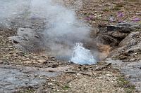 Erdporen  Irgendwann finden wir aber den Aus- und Übergang zum Geysirfeld, wo es zwischen Gras und bunten Blüten verheißungsvoll sprudelt und blubbert. Noch ist es auf dem großflächigen Areal fast leer und auch der Himmel hat ein Einsehen und stellt die letzten Nieseltropfen ab. Überall steigen Dampfwolken auf und schmale Rinnsale neben dem Weg fließen durch marmorierte Sinterbetten, so dass die Kameras nicht zur Ruhe kommen.  Geradezu unvermeidlich ist die Frage von Freunden und Verwandten, denen man von Island erzählt: "Hast Du denn auch in einem Geysir gebadet?". Die Frage erübrigt sich spätestens, wenn man versucht, auch nur einen Finger in das brühheiße Nass zu stecken.