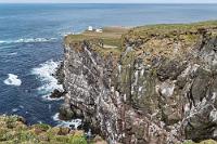 The most western rock  Langsam wandern wir wieder klippabwärts und halten an diesem Felsknick, an dem sich mit Blick auf den Leuchtturm auf der Felsspitze die Höhe über dem Meer erahnen läßt. Und obwohl die schroffen Felsen fast senkrecht abfallen, beweist die Menge weißen Vogelkots, dass selbst die schmalsten Vorsprünge voll besetzt mit Nistplätzen sind. Dazu zählen allerdings nicht die Nester der Papageitaucher, denn die sind auf Erdhöhlen angewiesen, welche sich lediglich am oberen Rand der Klippen in die grünen Flanken des dünnen Erdbelages graben lassen.