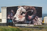 Versorgungsstopp  Ich weiß nicht mehr, wer uns das erzählt hat, oder wo wir gelesen haben, dass das Tankstellennetz auf Island recht dünn sein soll und man gut daran tue, sich bei jeder Gelegenheit den Tank wieder aufzufüllen. Wie bereits erzählt, hatte uns die undurchsichtige Blockung von Bankguthaben bei der Kreditkartenzahlung zunächst beunruhigt, was sich allerdings relativierte, als sich die vermeintliche Knappheit von Tankstellen als völlig gegenstandslos entpuppte. Auch dass sich die N1-Kette den Markt mit verschiedenen Mitbewerbern teilt, hat nie zu einem Engpass geführt, so dass wir uns bis auf die allererste Tankrechnung komplett auf die Prepaidkarten verlassen konnten. So klein die 2-Säulen Tanke auch ausfällt, der angeschlossene Shop läßt keine Wünsche offen, so dass wir erst mal wieder mit Cola und Keksen versorgt sind.