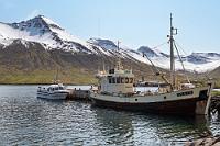 Wir Ignoranten  Pikanterweise müssen wir uns als weitgehende Kulturbanausen outen, weswegen wir alle touristischen Angebote des Ortes ausschlagen und nur die Weiterfahrt entlang der an Naturschönheiten reichen Küste im Sinn haben.  Wir nehmen deshalb auch an keiner Waltour teil (die wir ohnehin schon hinter uns haben), noch warten wir bis zum Juli, in dem ein berühmtes isländisches Volksmusikfestival hier stattfindet und schon gar nicht bis August mit dem "Síldarævintýrið", dem Heringsfestival. Besucher unserer Seite, die daran interessiert sind, sollten sich die Termine aber auf jeden Fall notieren ;-).