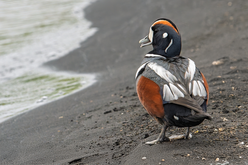 Von seiner besten Seite