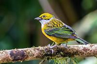 avistamiento-de-aves.jpg