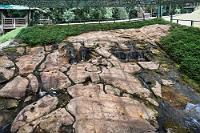 fuente-de-lavapatas.jpg