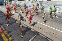 seepferdchen-parade.jpg