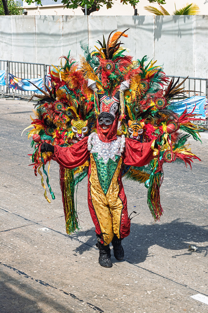 Tragkraft 50 kg