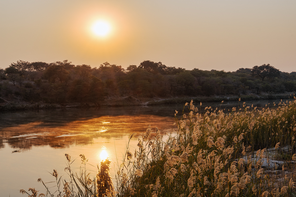 Morgendunst am Okavango