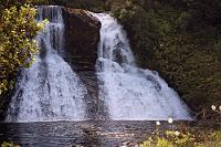 Aniwaniwa Falls  Te Urewera National Park : te urewera national park, lake waikaremoana, rotorua, toetoe grass, aniwaniwa falls