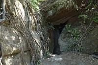 Gelegentlich sah man Hobbits hier herauskommen...  Eine der Höhlen des Onepoto Höhlensystems am Lake Waikaremoana, Te Urewera National Park. : te urewera national park, lake waikaremoana, rotorua, onepoto caves