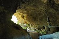 In the Limestone Arch  Man traut es dem teefarbenen Oparara River gar nicht zu, die Kraft zu besitzen, so einen Durchbruch zu formen. Die Sandsteinformationen nördlich von Karamea scheinen aber auch recht weich zu sein, wie die zahlreichen Auswaschungen und mit tropfsteinähnlichen Gebilden ausgestatteten Höhlungen nahelegen. : west coast, karamea, oparara river, oparara basin, kahurangi, limestone cave, oparara arch, buller district