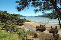 Kenepuru Head  Endpunkt einer der unzähligen Wasserarme und Verzweigungen in den Marlborough Sounds – eine der wenigen Gegenden Neuseelands, die als 'von der Sonne verwöhnt' bezeichnet werden. : marlborough sounds, picton, havelock, queen charlotte sound, pelorus sound, kenepuru sound