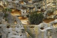 Rock Art  Genauer eigentlich: 'Takiroa Maori Rock Art Site' an der Strasse 83 zwischen Omarama und Oamaru in der Nähe des kleinen Ortes Duntroon. Als örtliche Sehenswürdigkeit gelten Holzkohle-Strichskizzen, die ein paar Maori vor zwei- bis dreihundert Jahren an einem isoliert stehenden Sandsteinfelsen hinterlassen haben. Ehrlich gesagt, fanden wir den mit skurrilen Auswaschungen verzierten Felsbuckel wesentlich beeindruckender, als die bestenfalls 'naiv' (kein Kulturchauvinismus ;o)) zu nennenden Graffities der Ureinwohner. : central otago,takiroa maori rock art, omarama, oamaru, duntroon
