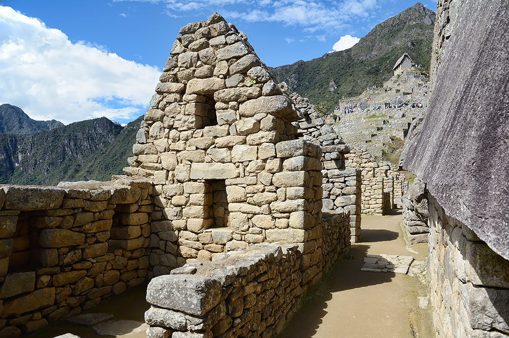Machu Picchu #9