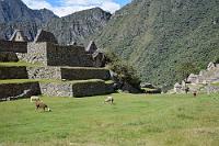 Machu Picchu #15  Blick über den Zentralplatz mit Landschaftsgärtnern und Häusern des Handwerkerviertels.