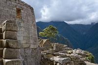 Machu Picchu #32  Ein abschließender Blick vorbei am Sonnentempel hinunter auf das Gefängnisviertel der Unterstadt und das Ende eines fantastischen Rundweges, auf dem man sich zu jedem Zeitpunkt ehrfürchtig bewußt ist, wieviel spirituelles Leben hier vor über fünfhundert Jahren im wahrsten Sinne des Wortes in Stein gemeißelt wurde. Auch wenn man als Laie kaum einzuschätzen vermag, wieviel Zeit und Aufwand damit verbunden ist, eine derartige Stätte für die Öffentlichkeit zugänglich zu halten (und auch die Spuren unvermeidlichen Vandalismusses ständig zu beseitigen), ist es doch schade, dass es zukünftig nur noch Gruppen möglich sein wird, dieses Kulturerbe zu besuchen. Umso mehr wissen wir das Glück zu schätzen, noch selbstbestimmt und in freier Einteilung unserer Zeit und Aufmerksamkeit an einigen Stellen verweilt haben zu können, um den Geist dieses Ortes in Ruhe auf uns wirken zu lassen.