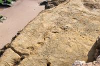 Vogelahn  In dem Fischerdorf Salema finden sich direkt am Strand die ca. 140 Millionen Jahre alten Fußabdrücke eines meist zweibeinig stolzierenden Ornithopoden. Bei ungefähr 2 Metern Lebendgröße war seine Schuhgröße immerhin 61 (~ 40 cm).