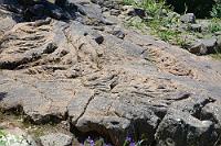 Pāhoehoe  Aus dem Hawaiianischen stammt die international übernommene Bezeichnung für sehr dünnflüssige Lava, die an der Oberfläche des Lavaflusses abkühlt und gerinnt. Die so erstarrte, glattwellige Lava bildet mitunter die horizontale Decke eines Höhlengangs, welcher entstehen kann, wenn die noch sehr heiße Lava darunter vollständig abläuft. Nahe des Städtchens Icod an der Nordküste Teneriffas besuchen wir die 27000 Jahre alte Lavahöhle 'Cueva del Viento', das größte Höhlensystem dieser Art in Europa!